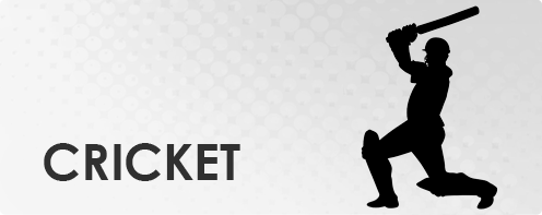 Cricket